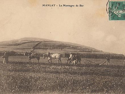 Image of Manlay Image of Manlay