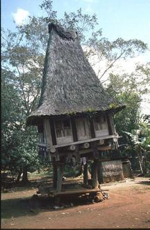 Bild von Fuiloro