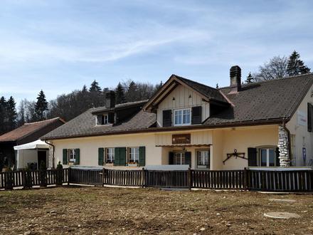 Bild von Orvin