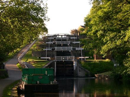 Imagen de Bingley Imagen de Bingley