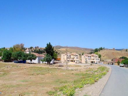 Image of Rebaia Image of Rebaia