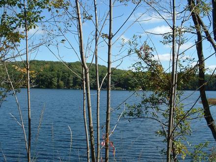 Immagine Otis (Massachusetts)