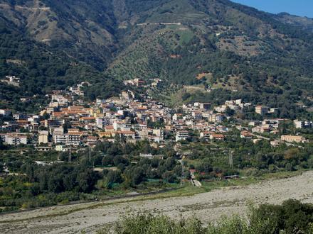 Bild von Bagaladi Bild von Bagaladi