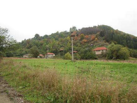 Slika Musulj Slika Musulj