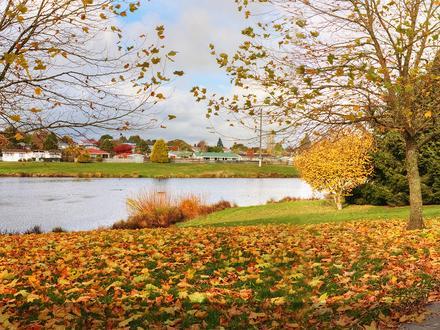 Bild von Tokoroa
