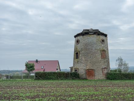 Bild von Alleringersleben Bild von Alleringersleben