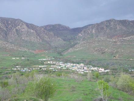 Image of Araden Image of Araden