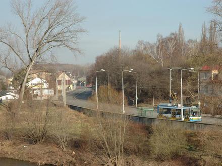 Image of Muglinov Image of Muglinov