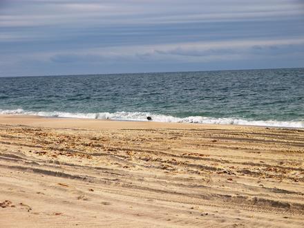 Bild von Charlestown (Rhode Island)
