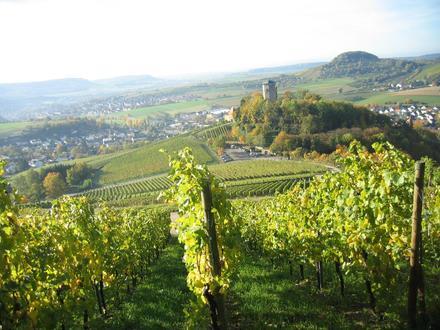 Beilstein Image