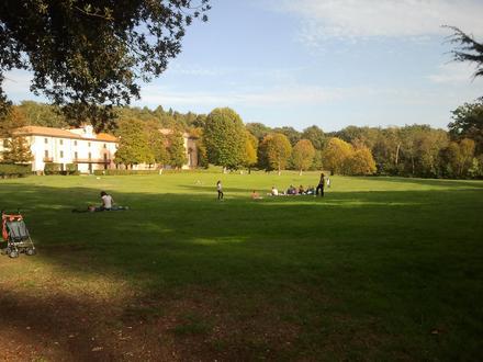 Bild von Villa Medici von Pratolino