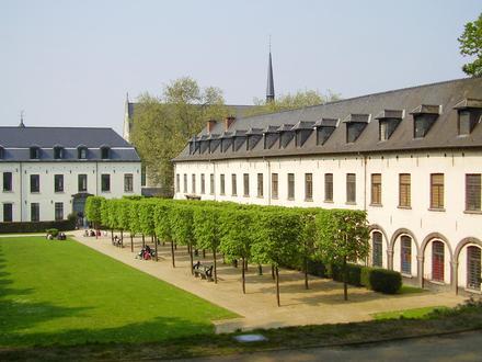 Immagine Ixelles