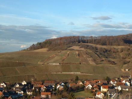 Image of Ebringen Image of Ebringen