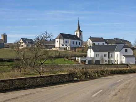 Image de Wahl