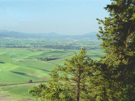 Immagine Palouse (Washington) Immagine Palouse (Washington)