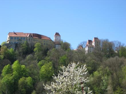 Bild von Neuburg am Inn