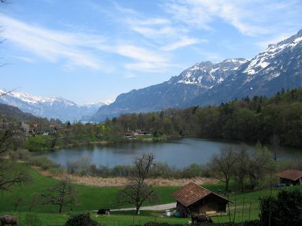 Bild von Ringgenberg BE