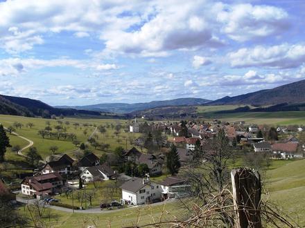 Bild von Mervelier Bild von Mervelier