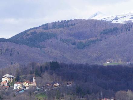 Immagine Selve Marcone