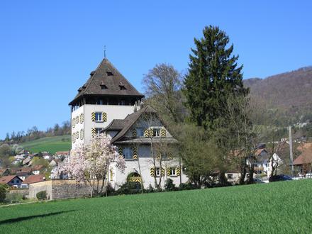 Bild von Auenstein AG