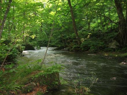 Immagine Towada