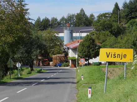 Immagine Visne