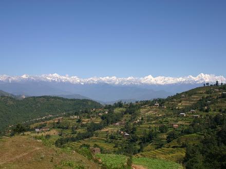 Image of Bhadrabas Image of Bhadrabas