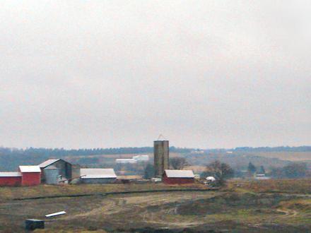 Image of East Gwillimbury