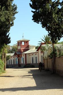 Image of Segeneiti