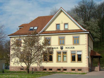 Imagen de Mauer