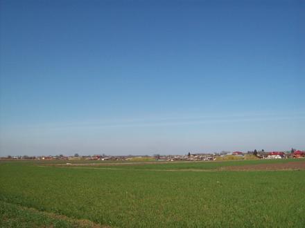 Immagine Frumușani Immagine Frumușani