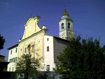 Immagine Mioglia Immagine Mioglia