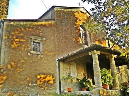 Immagine Vicchio