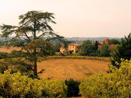 Afbeelding van Saint-Orens-Pouy-Petit Afbeelding van Saint-Orens-Pouy-Petit