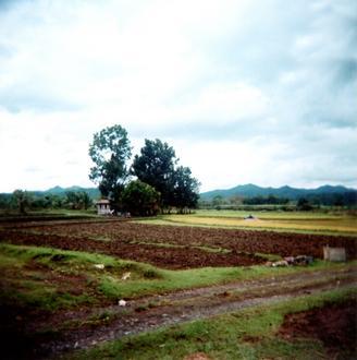 Bild von Sibalom