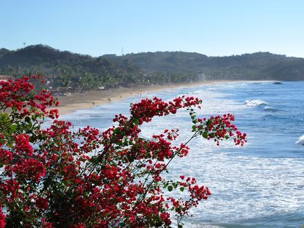 Image of Playa Zipolite Image of Playa Zipolite