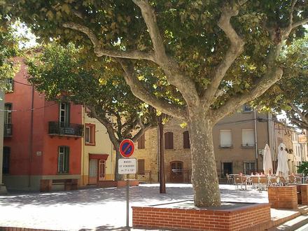 Bild von Torreilles