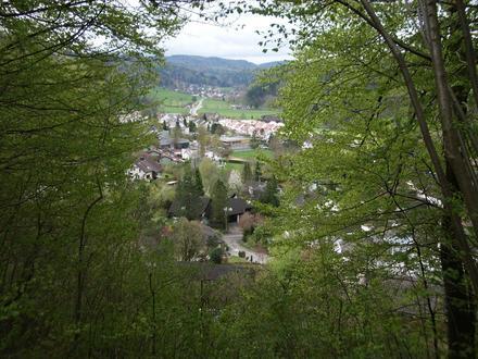 Immagine Stallikon Immagine Stallikon
