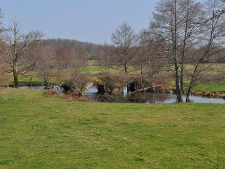 Image of La Bazeuge