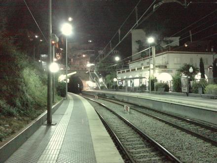 Imagen de Estación de La Floresta (FGC)