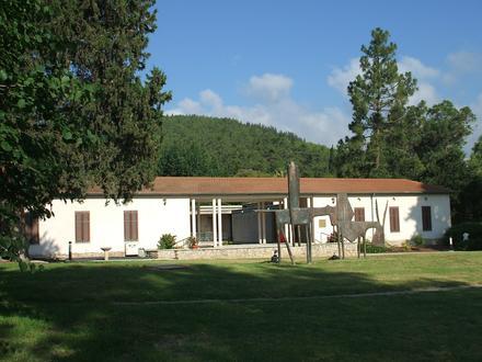 Bild von Hasorea Bild von Hasorea