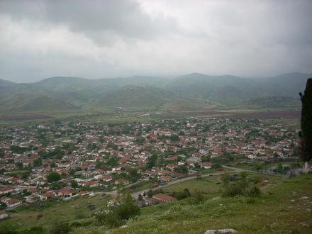 Image of Zarko Image of Zarko