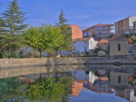 Imagen de Cella