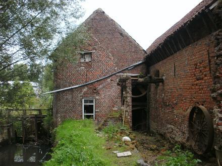 Bild von Ottergem