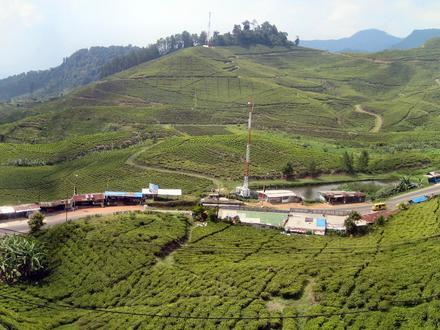 Afbeelding van Puncak