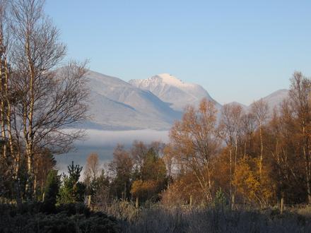 Bild von Otta Bild von Otta