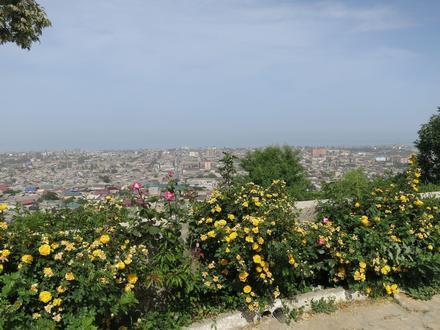 Bild von Nasran Bild von Nasran