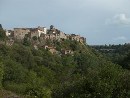 Immagine Blera Immagine Blera