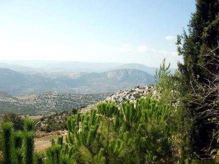 Image of İnsu Image of İnsu
