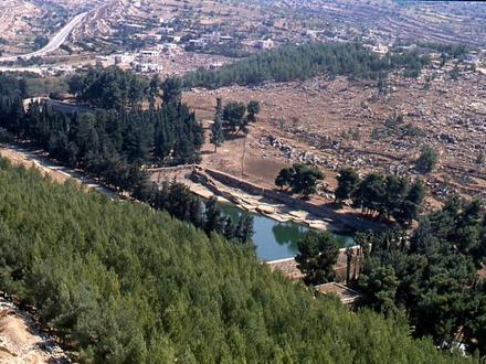 Immagine Al-Khader Immagine Al-Khader